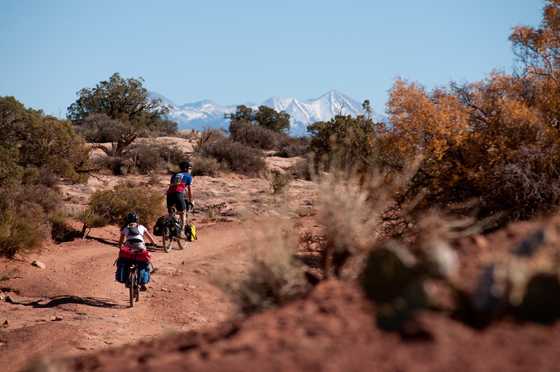 white rim trail bike tours